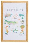 (image for) Reptiles Picture