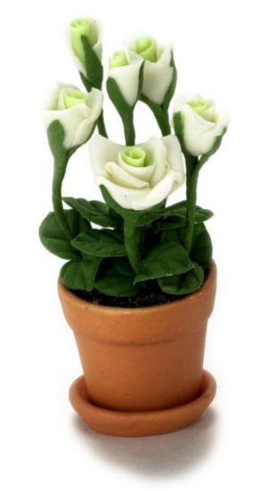 (image for) White Roses in Clay Pot