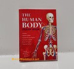 (image for) The Human Body Book