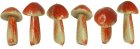 (image for) Mushrooms Brown 6pc