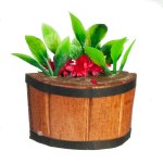 (image for) Semi-Circle Planter w/ Tropical Plants