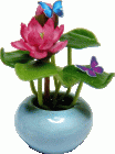 (image for) Water Lily Arrangement Pink