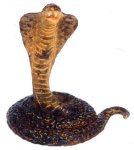 (image for) King Cobra