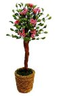 (image for) Ornamental Flowering Tree in Woven Basket