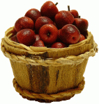 (image for) Bushel Basket of Red Delicious Apples