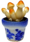 (image for) Mushrooms in Clay Pot