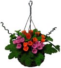 (image for) Orange & Pink Flowers in Hanging Basket