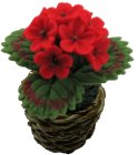 (image for) Red Geranium in Basket