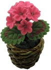 (image for) Pink Geranium in Basket