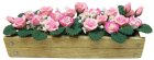 (image for) Pink & White Roses in Planter