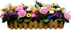 (image for) Pink Carnations in Picket Planter