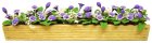 (image for) Purple Cup Flowers in 5-1/2" Box