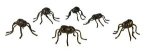 (image for) Black Bugs 6pc