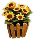 (image for) Sunflowers in Picket Fence Planter