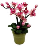 (image for) Pink Orchid Arrangement In Yellow Pot