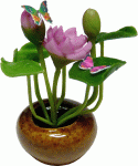 (image for) Lavender Water Lily Arrangement w/ Butterflies