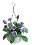 (image for) Purple Cup Flower In Hanging Pot