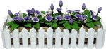 (image for) Purple Cup Flowers In Picket Fence Planter