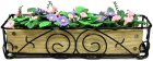 (image for) Pink and Purple Trumpet Flowers in Scroll Iron Window Box