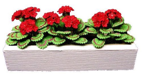 (image for) Red Geraniums in White Window Box