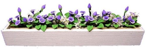 (image for) Purple Cup Flowers In White Window Box