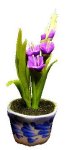 (image for) Purple Gladiolas in Blue Pot