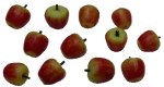 (image for) Macintosh Apples Set of 12