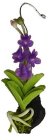 (image for) Hanging Orchid Purple