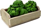 (image for) Lettuce in Crate