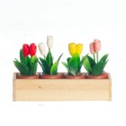 (image for) Tulips in a Window Box