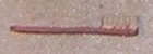 (image for) Tooth Brush, Pink