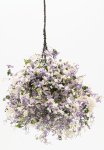 (image for) Hanging Basket