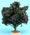 (image for) Lilac Bush Large