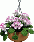 (image for) Pink/White Hanging Flower Arrangement