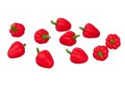 (image for) Red Bell Pepper 10pc