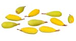 (image for) Cob Corn 10pc