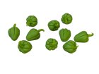 (image for) Green Bell Pepper 10pc