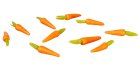 (image for) Carrot 10pc