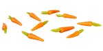 (image for) Carrot 10pc