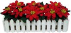 (image for) Red Poinsettias in Picket Fence