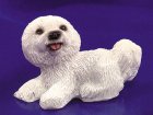 (image for) Bichon Frise Laying