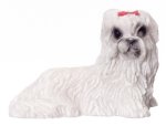 (image for) Lhasa Apso Laying Down