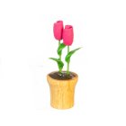 (image for) Potted Pink Flowers