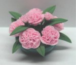 (image for) Pink Carnation-Flat Plate