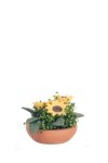 (image for) Sunflower Centerpiece