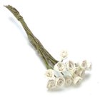 (image for) White Tulips 12pc