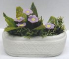 (image for) Asters in White Planter