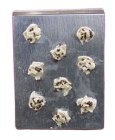 (image for) Cookie Dough on a Cookie Sheet