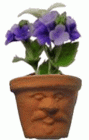 (image for) Flowers in Sour Faced Pot