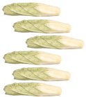 (image for) Chinese Cabbage, 6 Pc